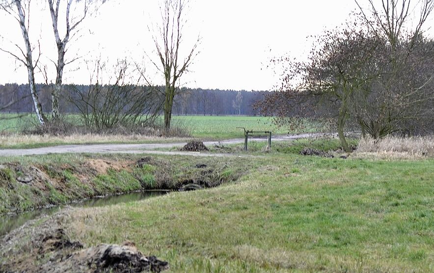 Erlebnis 1 Frühlingsstimmung im Winter