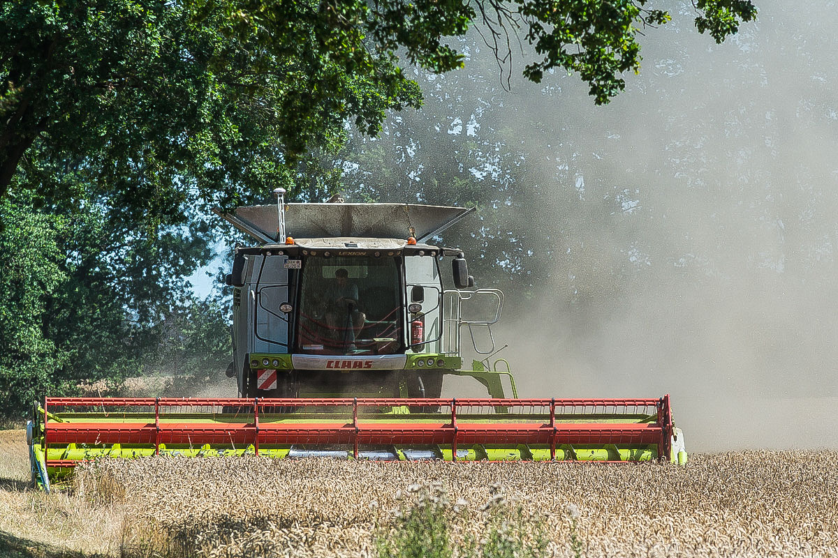 Ernte 2019 Bonese 2 (1 von 1).JPG