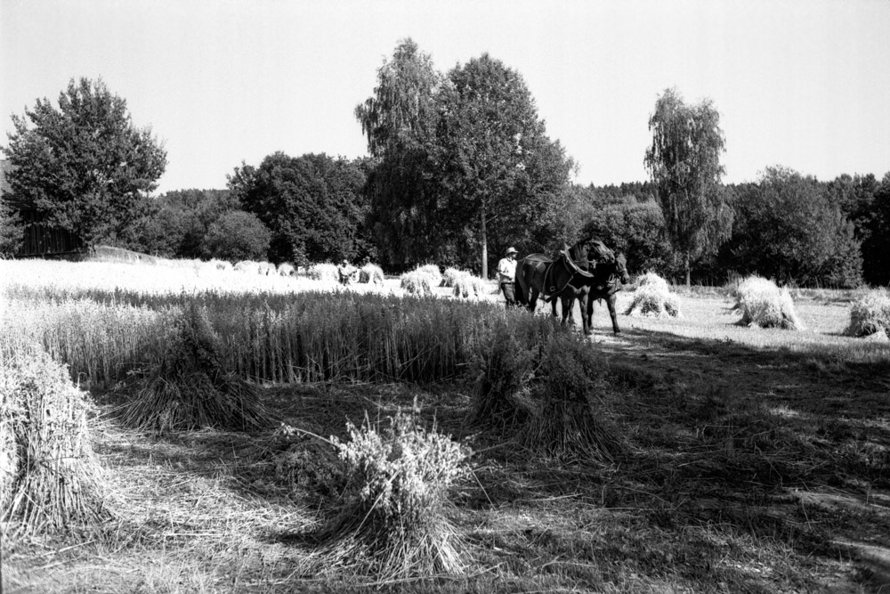 Erntezeit