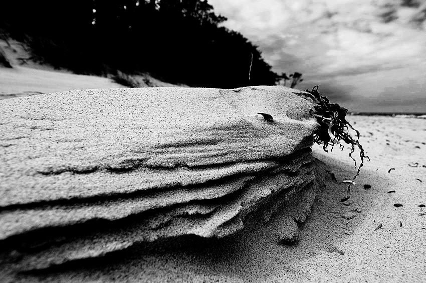 Erosiom by Dirk S