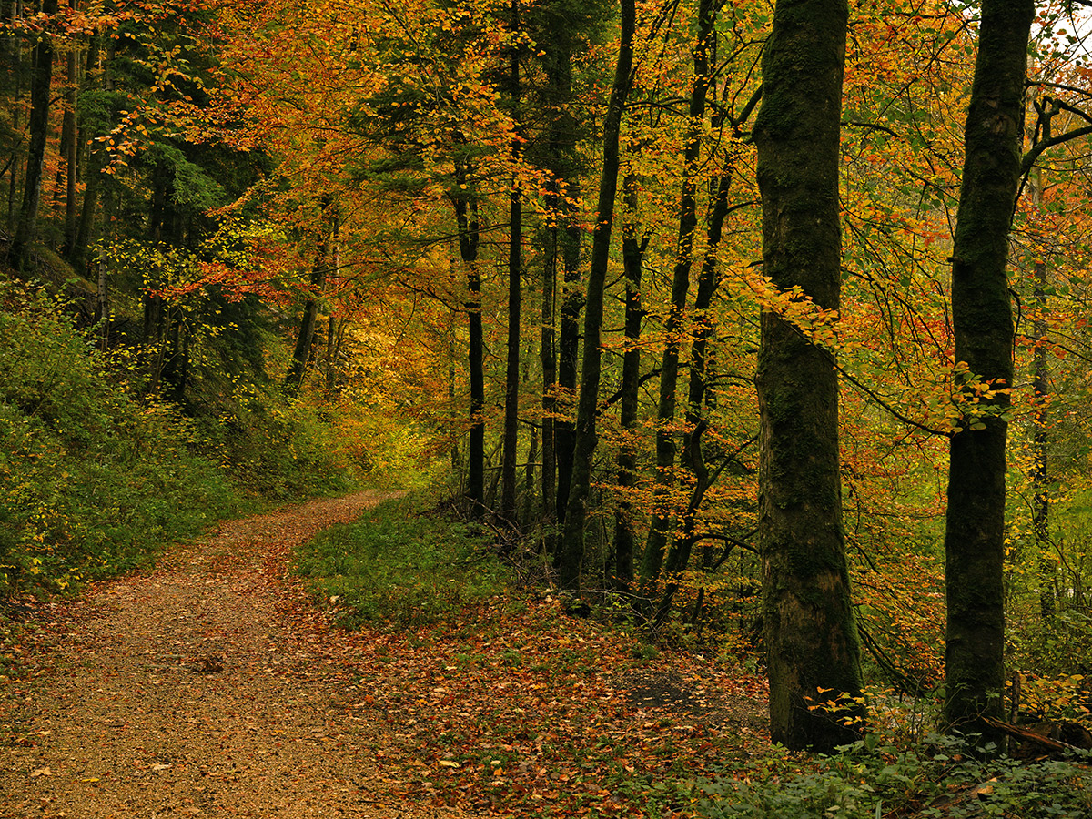 Erschwil.jpg