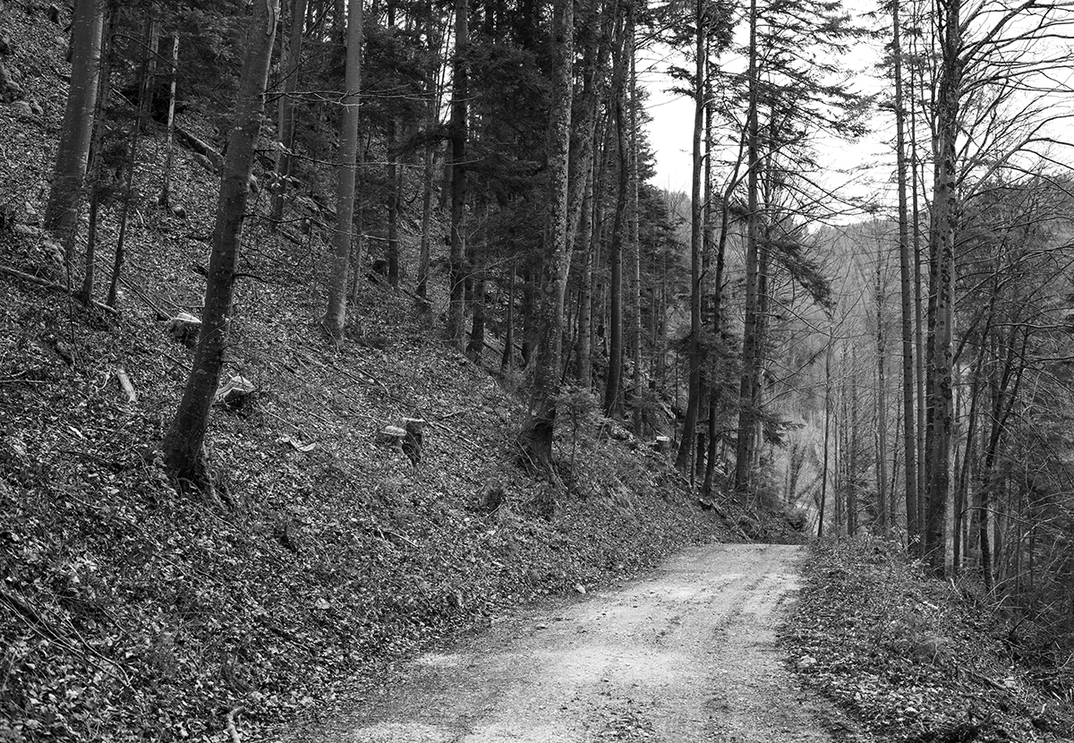 Erschwil_AF2_1182_12.jpg