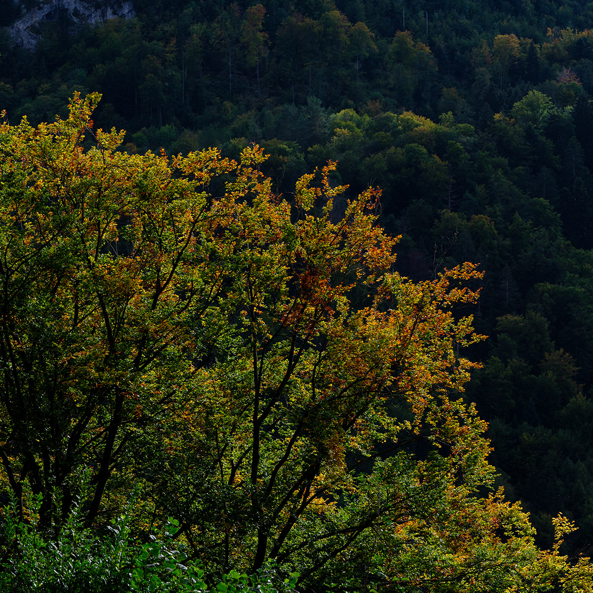 Erschwil_DSF0594_12.jpg