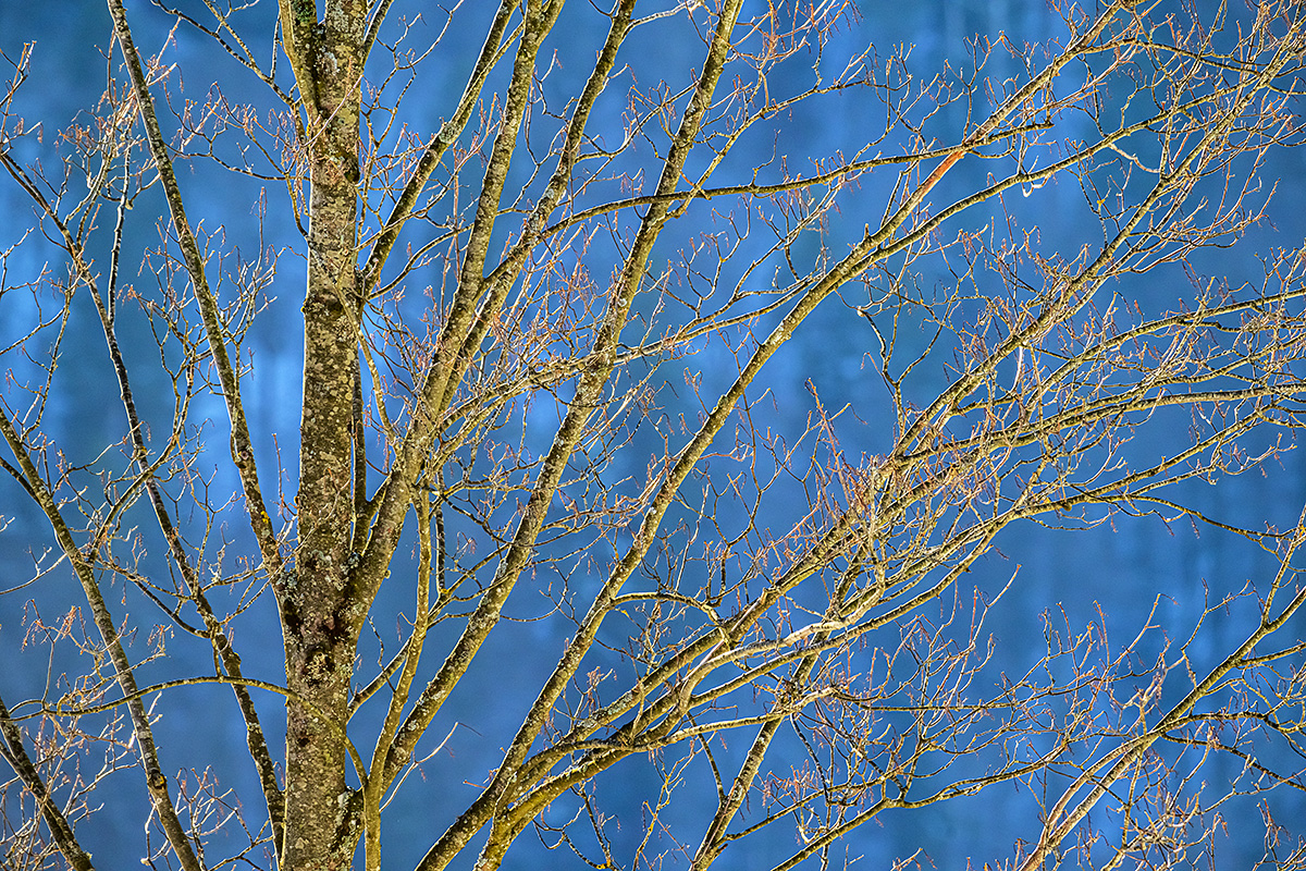 Erschwil_Z9D_3044_12.jpg
