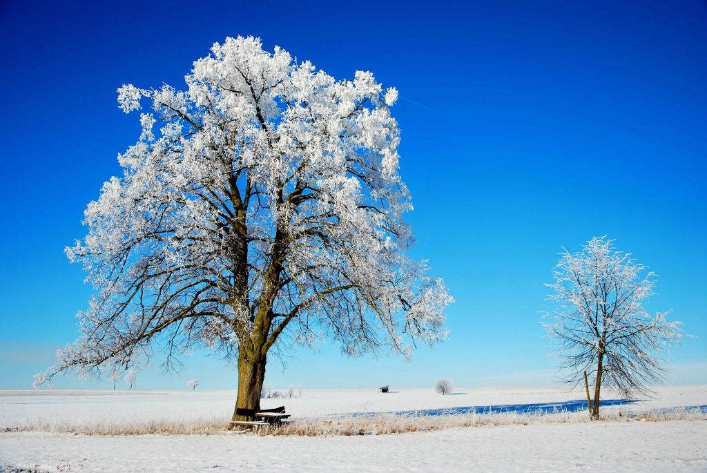 Erstarrte Landschaft