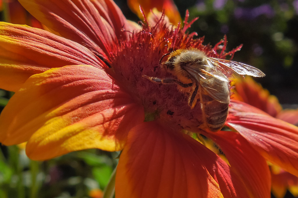 erste Bilder mit der S8200