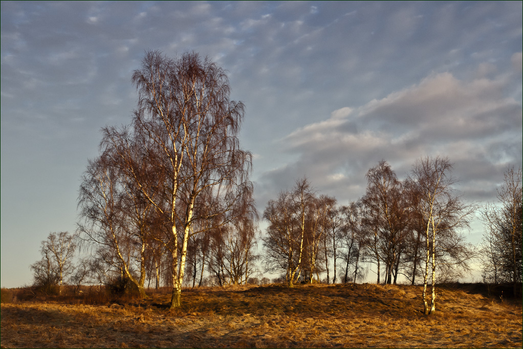 erste morgensonne