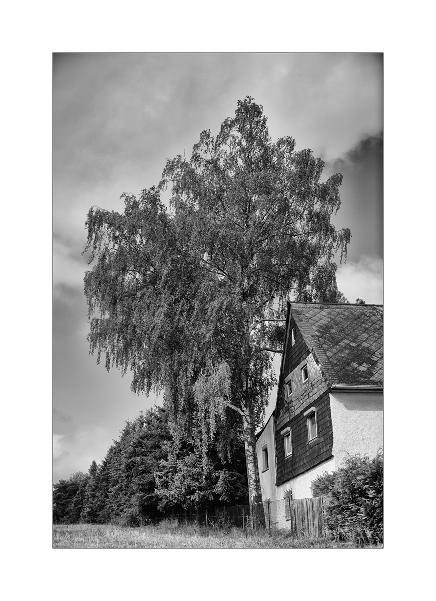 ErzDSC_0016.jpg