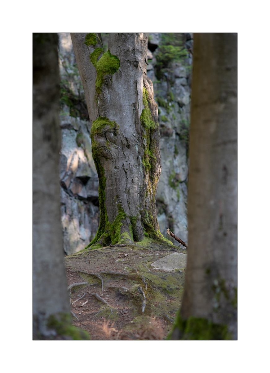 ErzDSC_1350.jpg