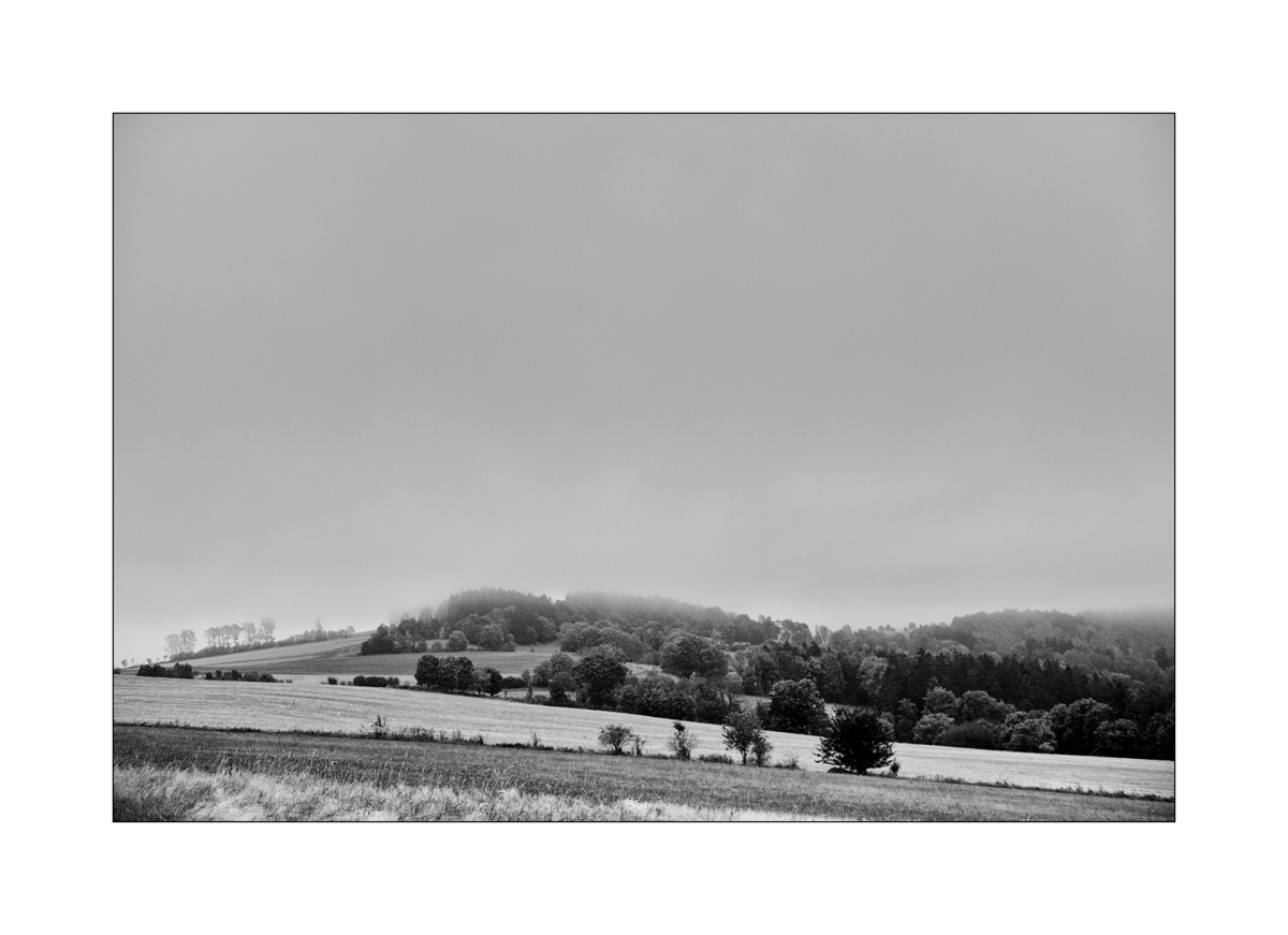 ErzDSC_9974.jpg
