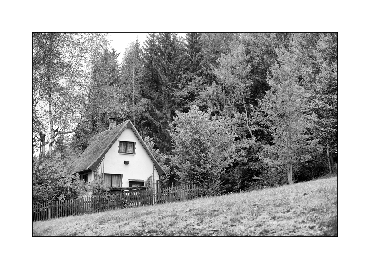 ErzDSC_9977.jpg