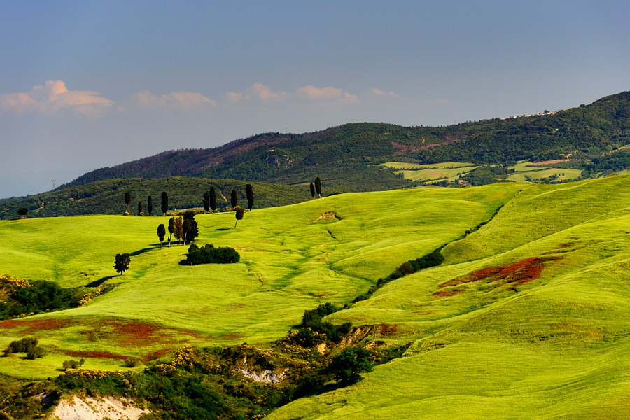 es grünt bei Volterra