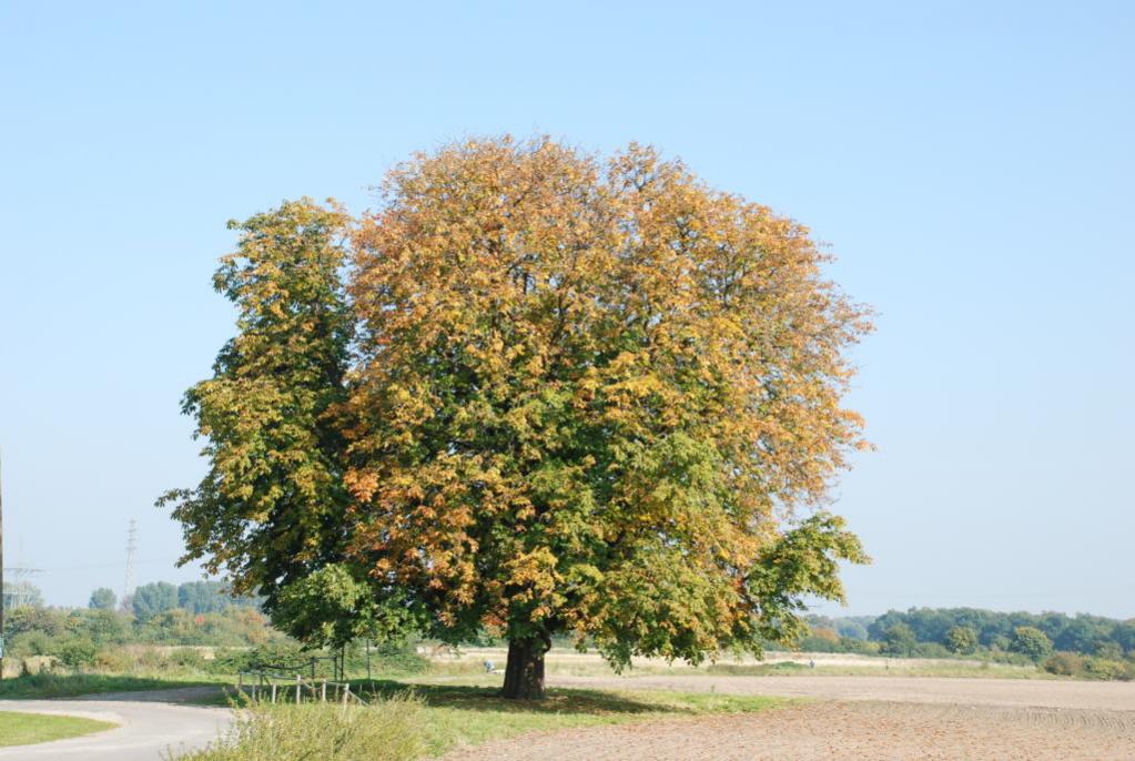 Es wird bunt