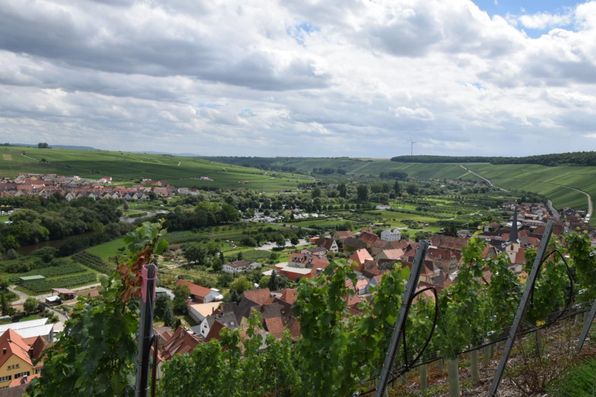 Escherndorf - Lump - 2