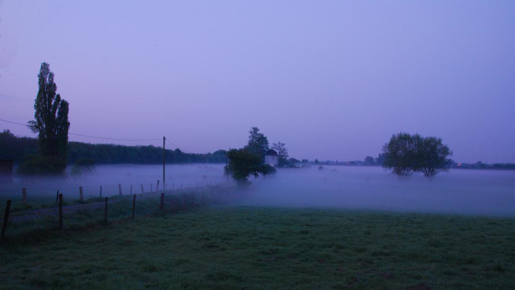 Essenberger Bruch morgens um 06:00h