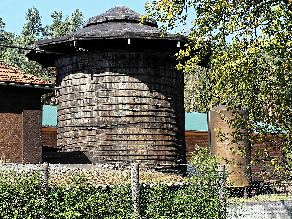 Essigbildner.jpg