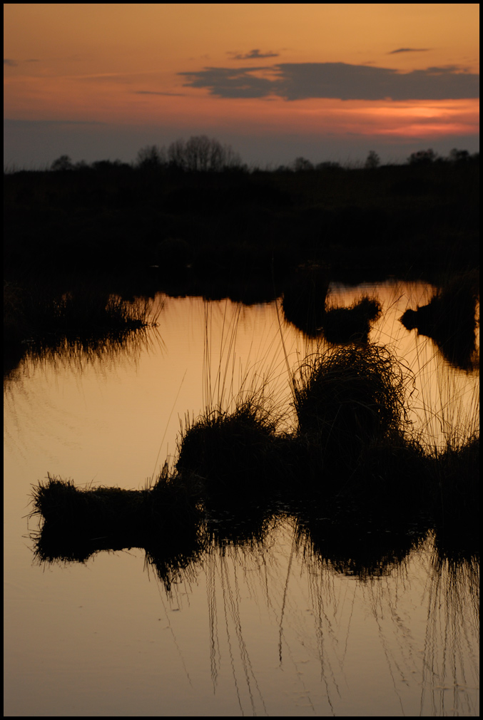 Ewiges Meer V