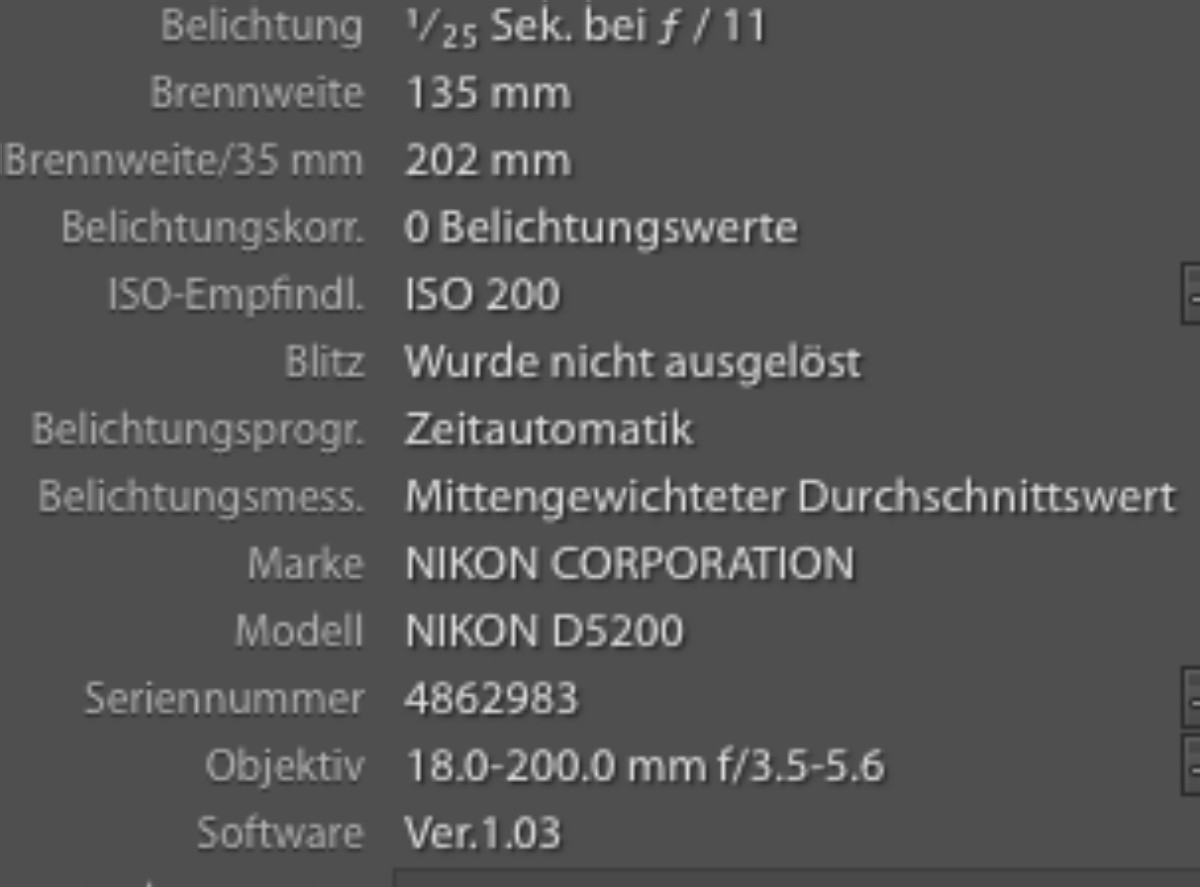 Exif Bild 1 1200x887