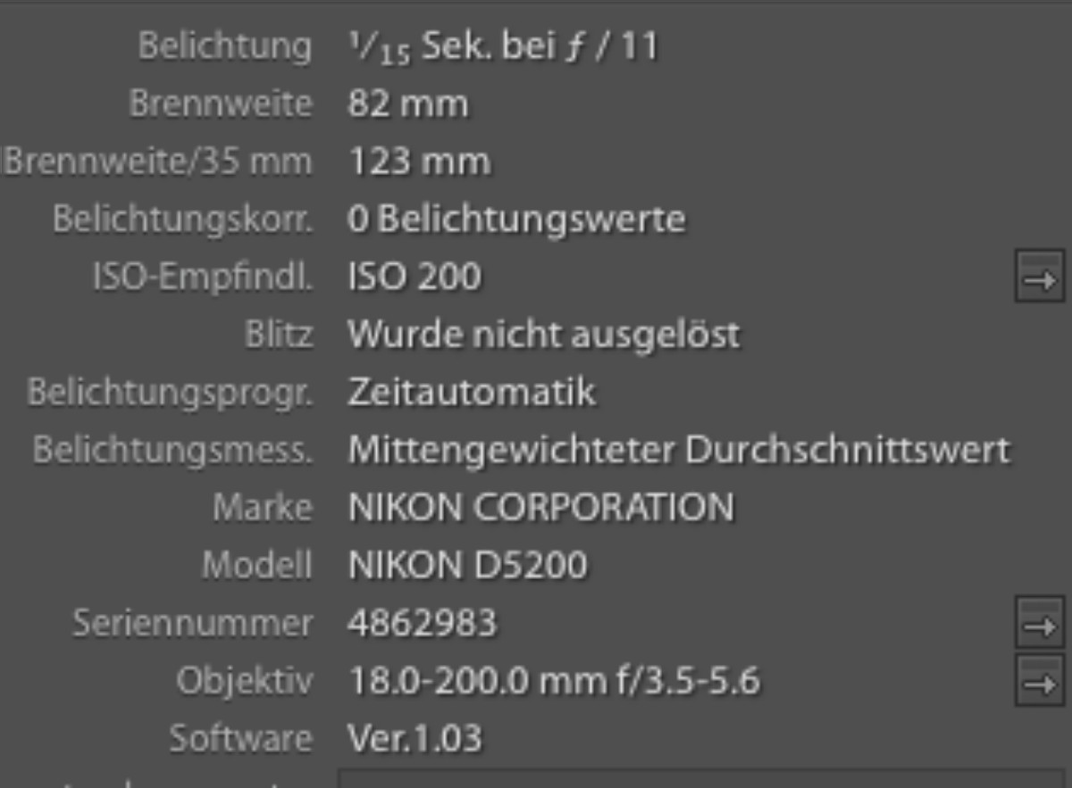 Exif Bild 2 1200x883