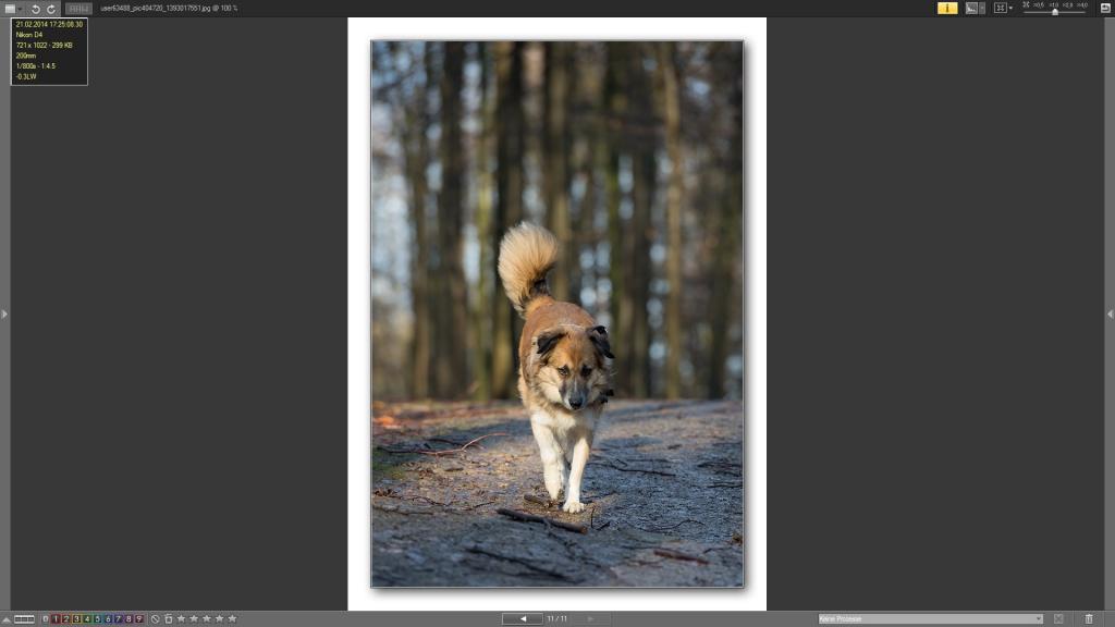 Exif ViewNX 1
