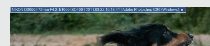 EXIF