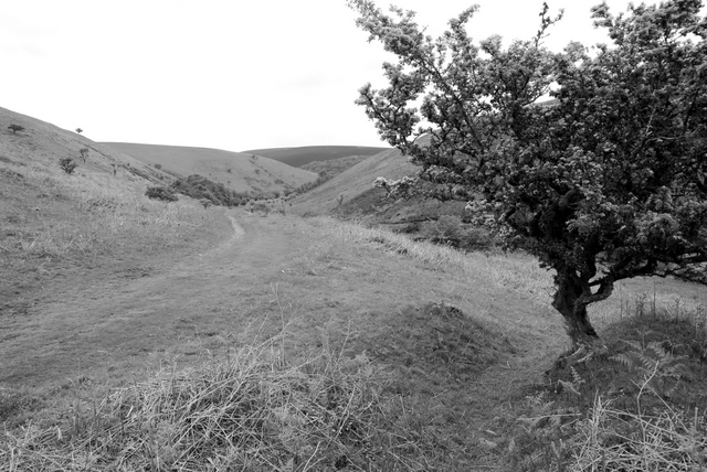 Exmoore, Devon, UK