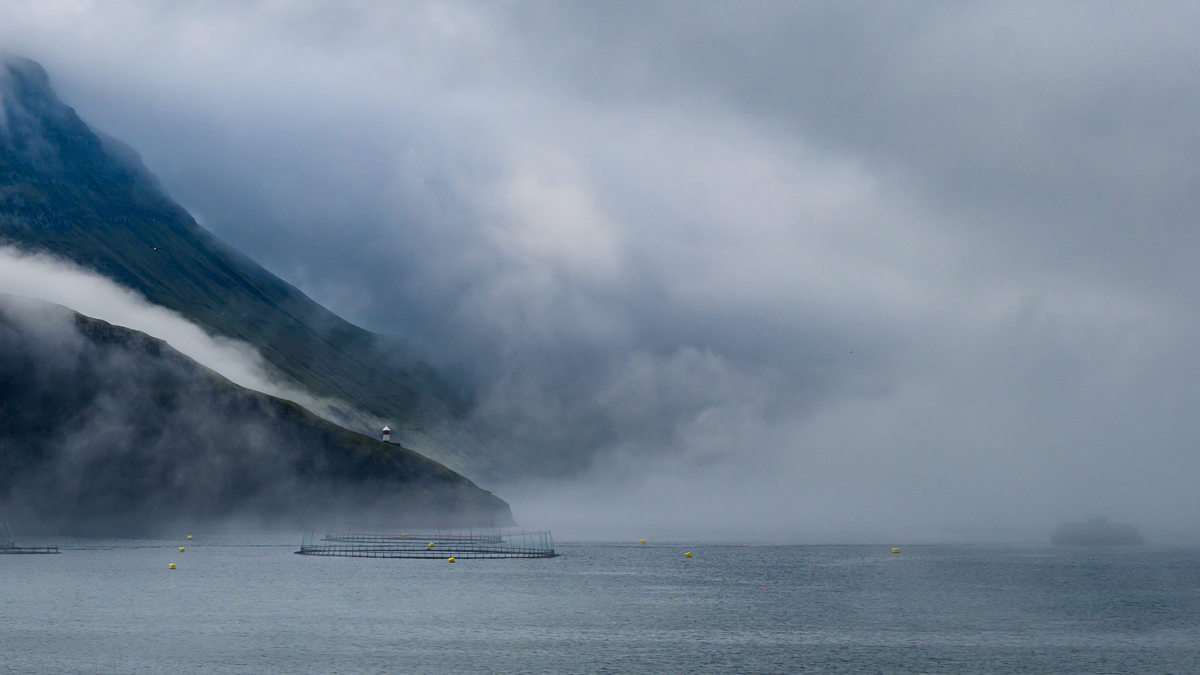 Färöer Bour-8392.jpg