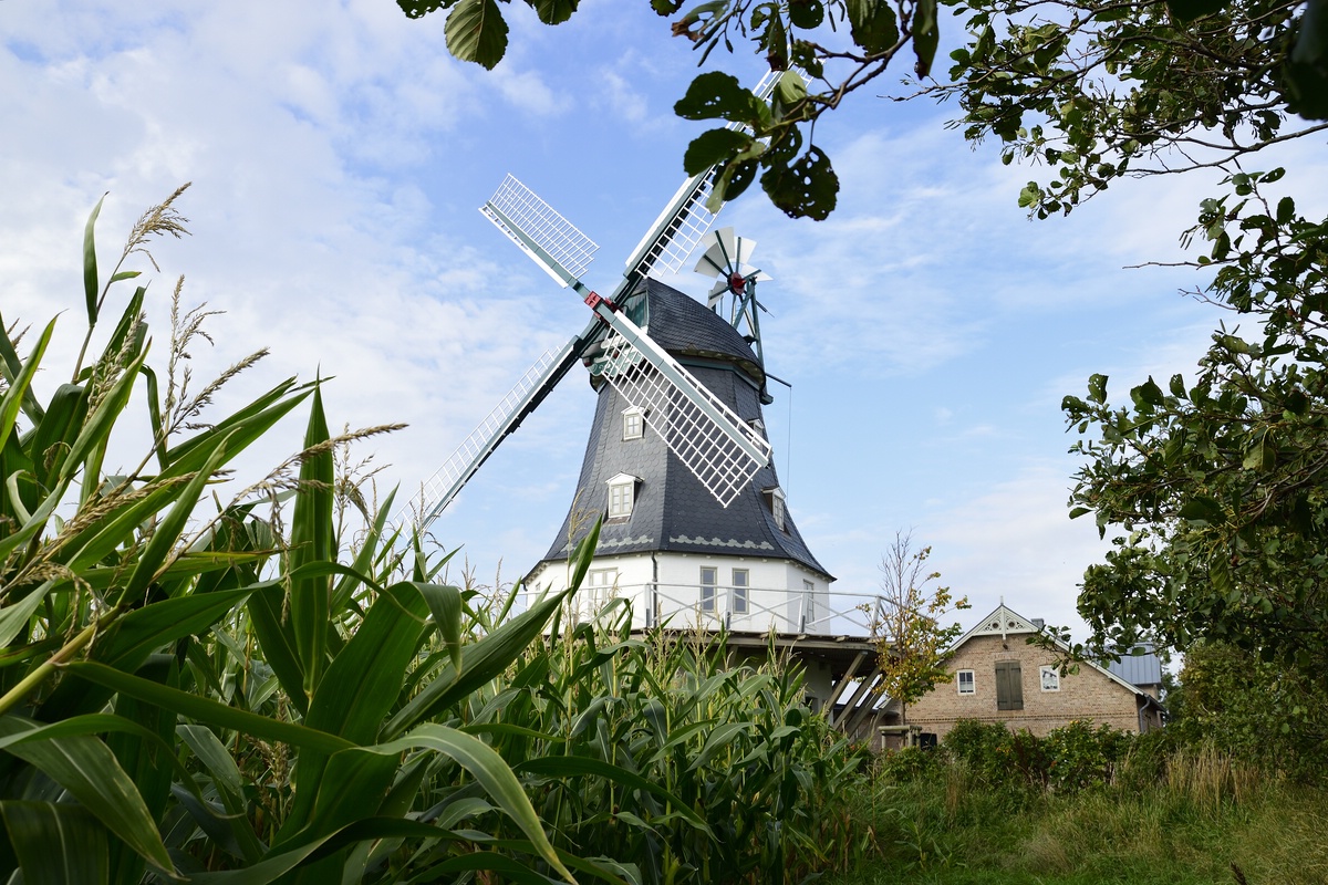 Föhr 00289