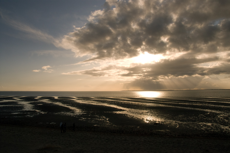 Föhr Amrum