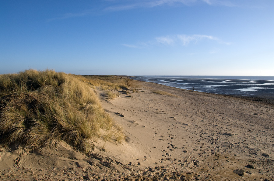 Föhr Amrum2