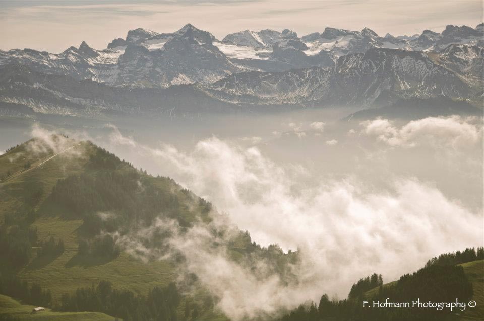 F. Hofmann Photography