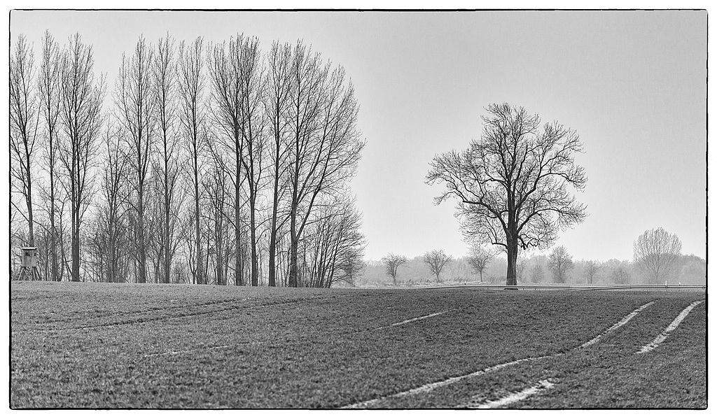 F005305c