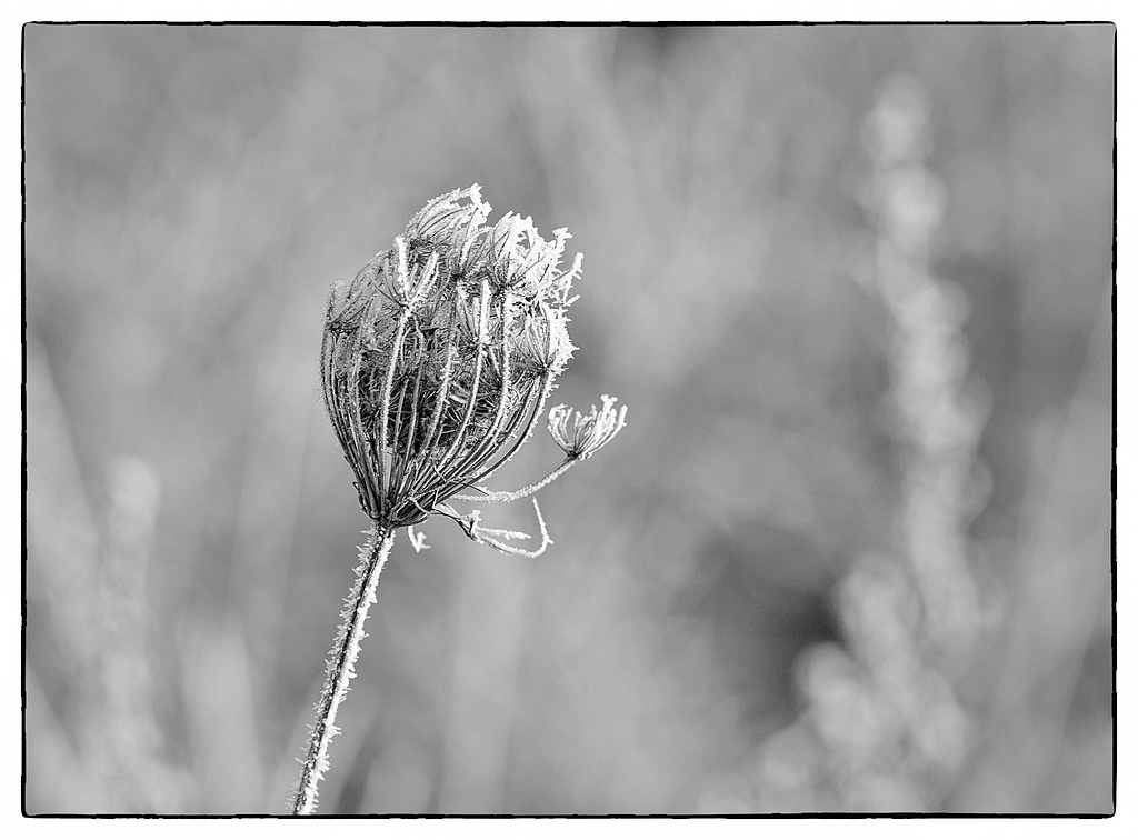 F005601c