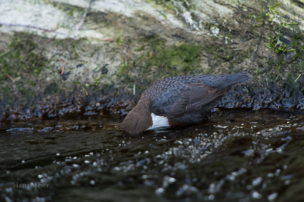 F01 0870