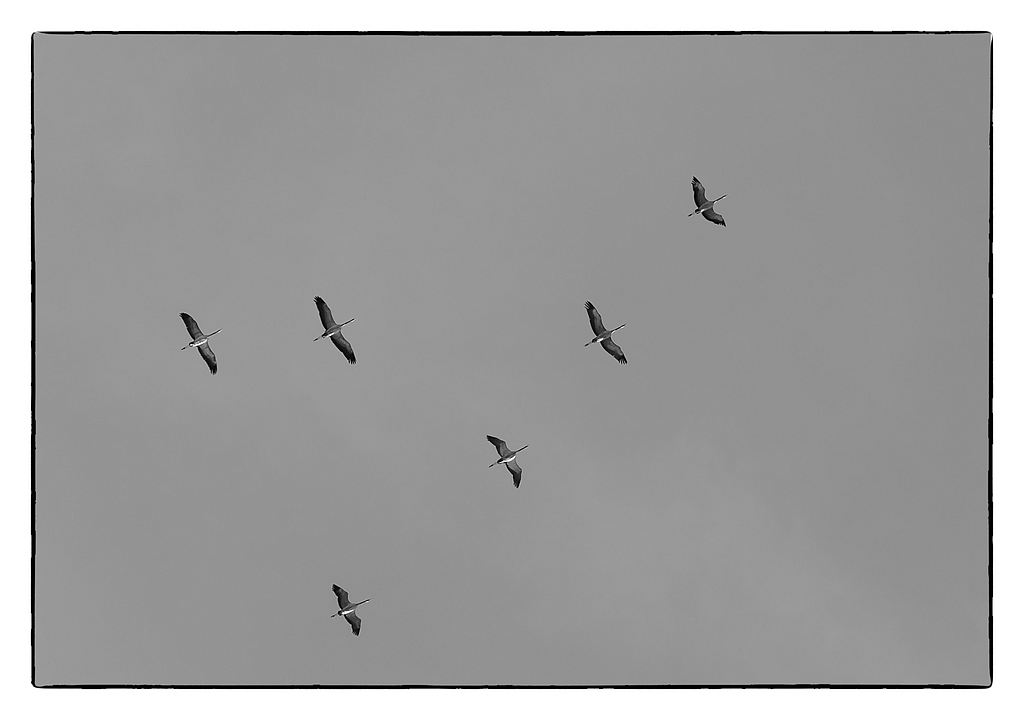 F011212c