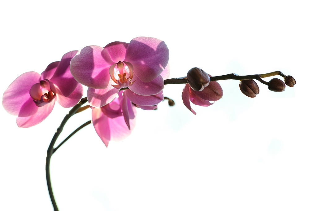 F011902c