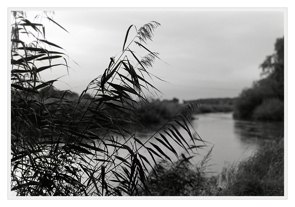 F100, AGFA APX 100, Sigma 50/1.4 HSM @ f/8