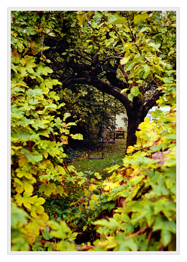 F100, Velvia 100F, Nikkor 35/2 AiS
