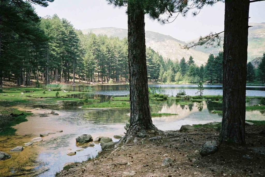 F1000030 neu