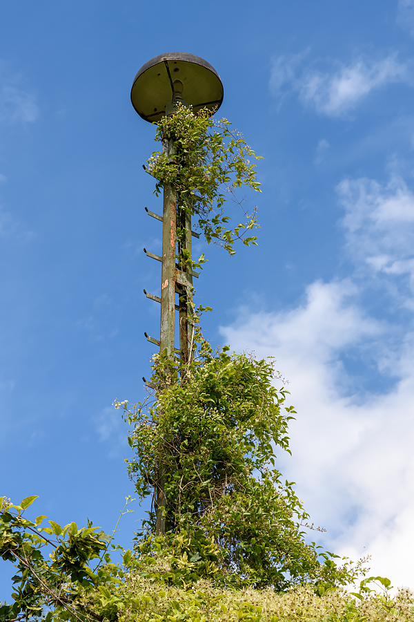 F26_4696.jpg