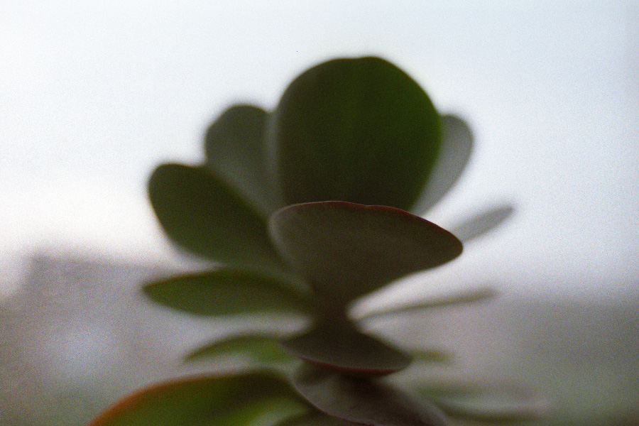 F6 7
