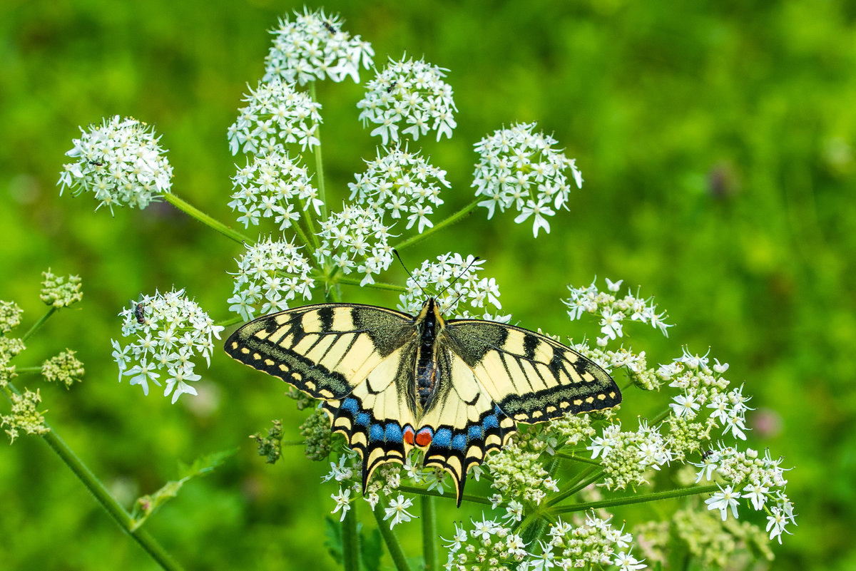 F75_0913.jpg