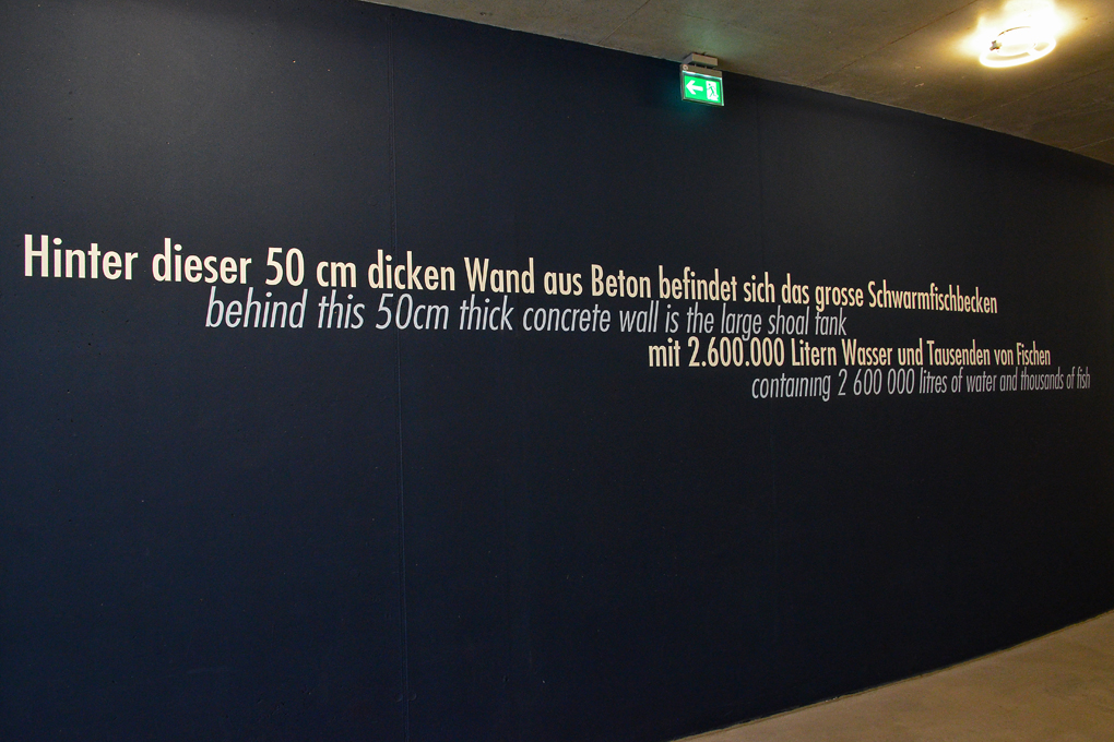 FA1_3615a.jpg
