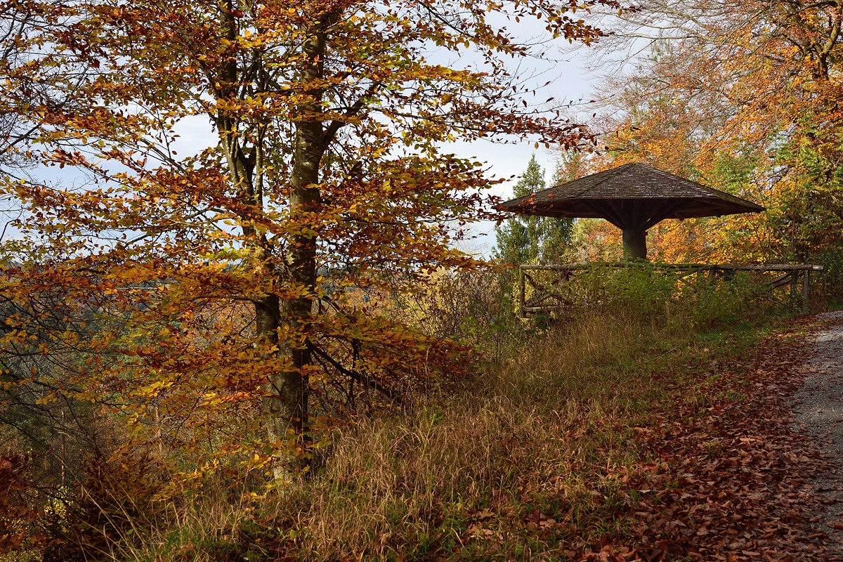 Falkenkopf-2019_24368 (1).jpg
