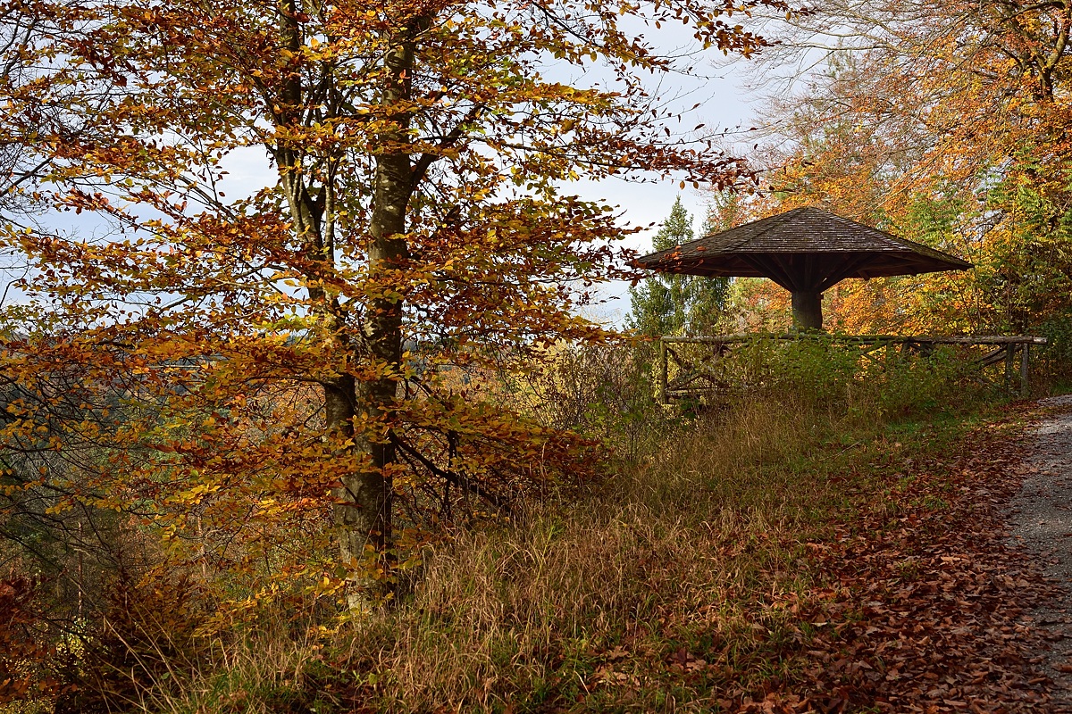 Falkenkopf-2019_24368 (1).jpg