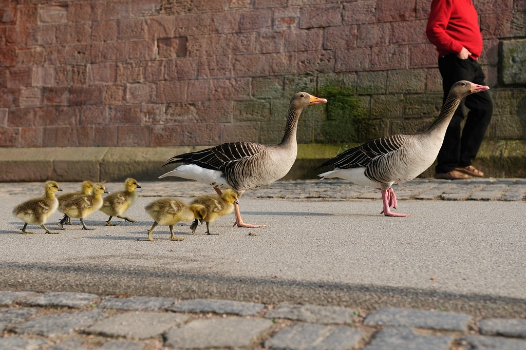 Familienausflug