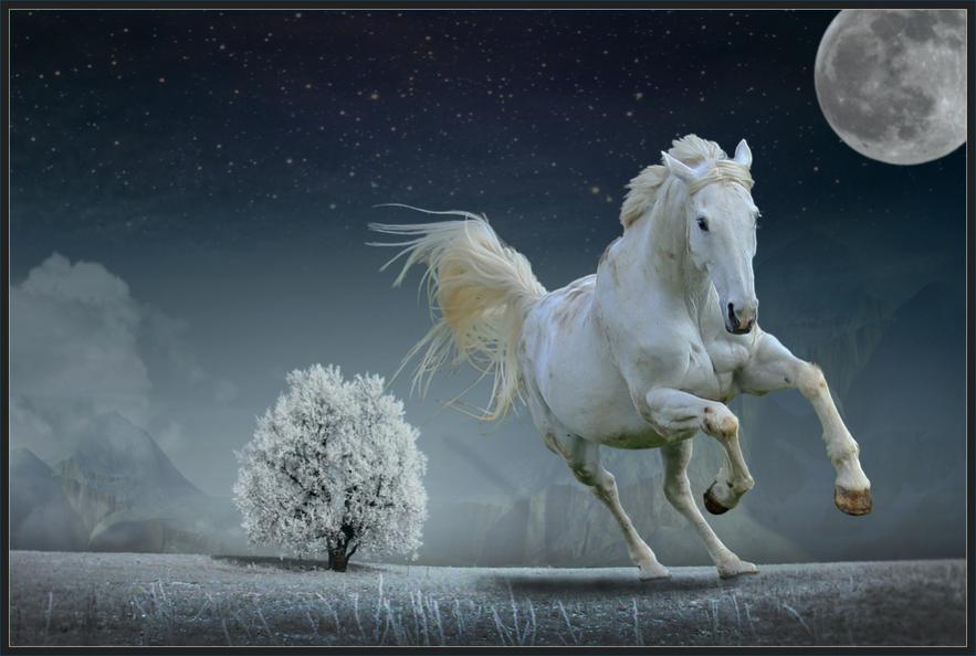 Fantasy