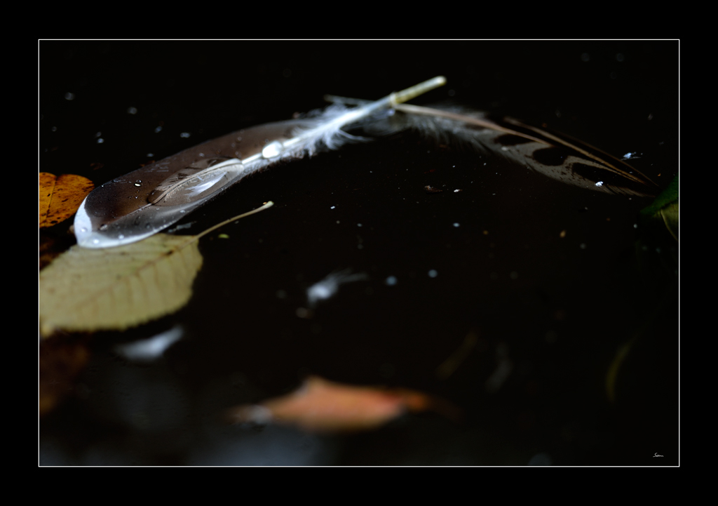 Farbe PZ14448