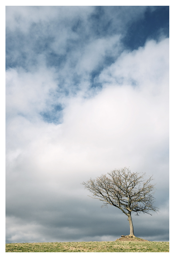 farbe