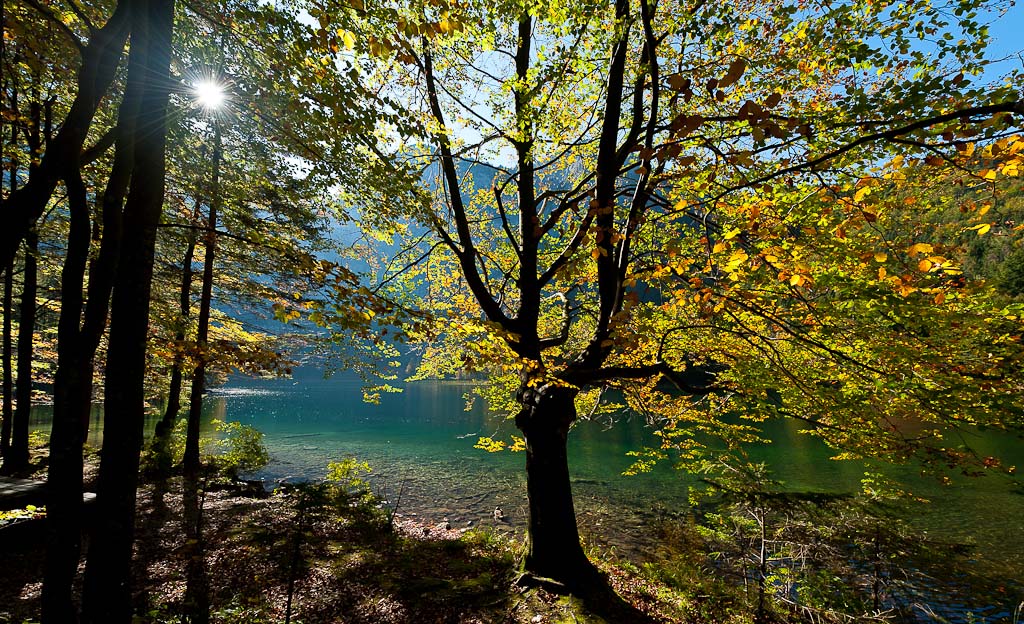Farben im Herbst - Fortsetzung